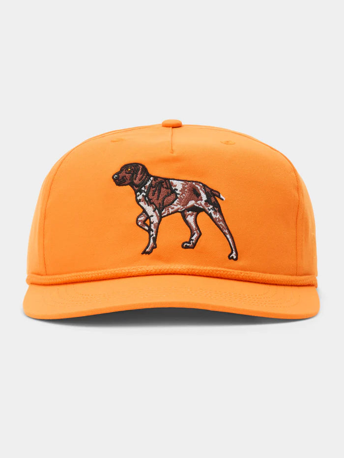 Pointer Grandpa Hat- Blaze